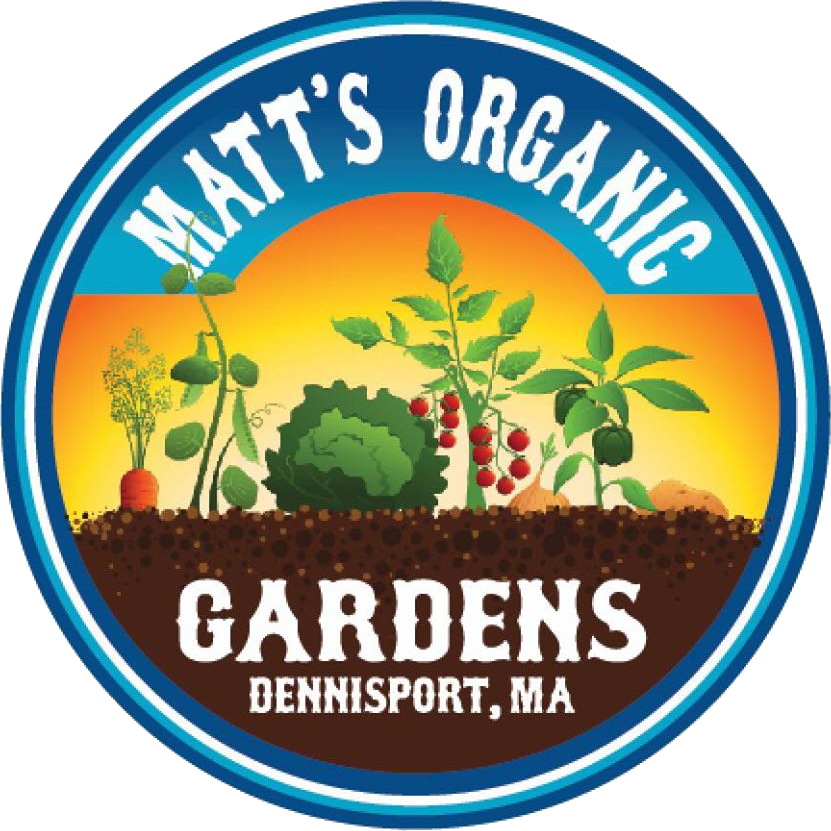 Matt's Organic Gardens